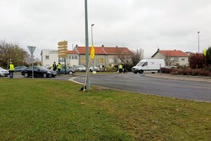 Mercredi%2017-11%20RP%20Botanic%203