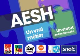AESH-carte-syndicats-recto