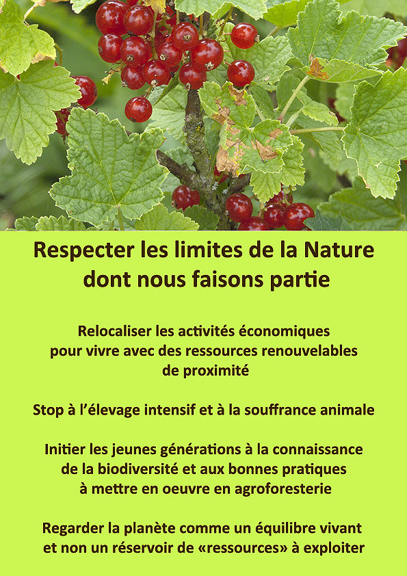 pf_illustree_decroissants pf_illustree_decroissants